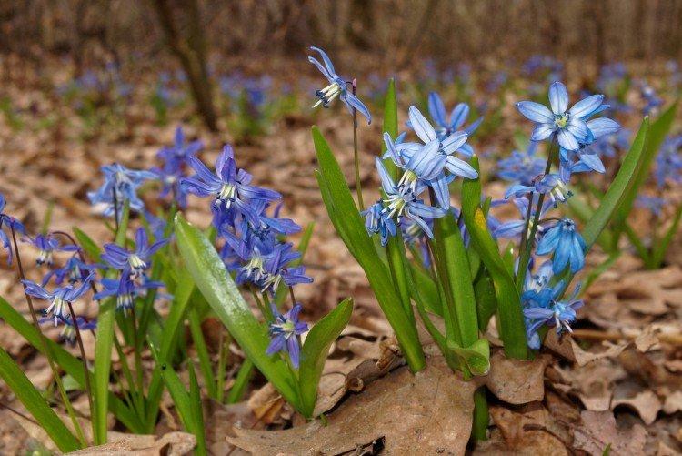 Température et éclairage