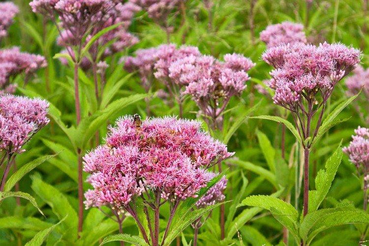 Température et éclairage