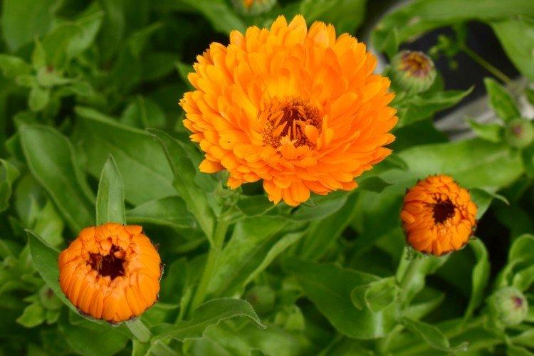 Température et éclairage