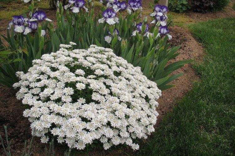 Engrais et alimentation