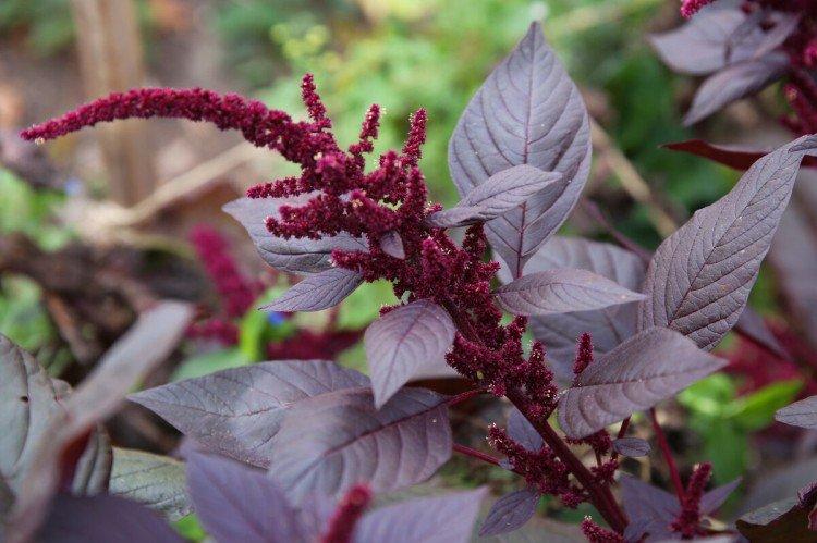 informations générales