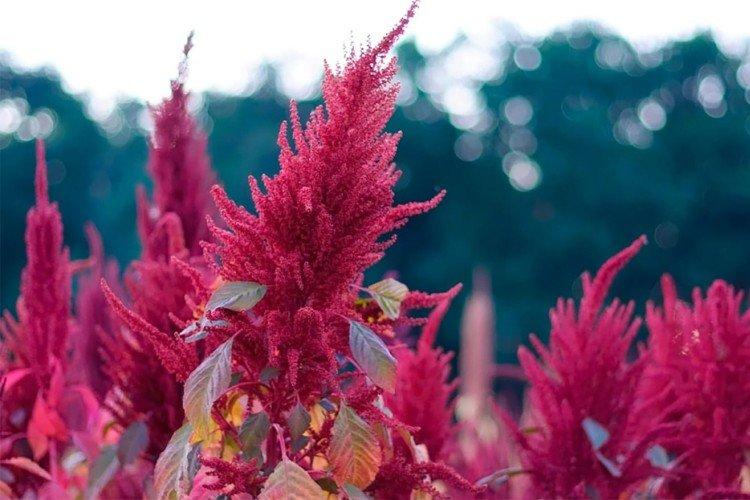 Température et éclairage