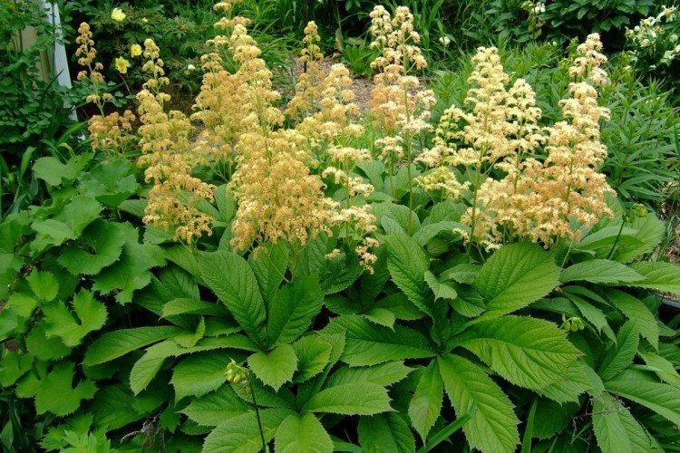 informations générales