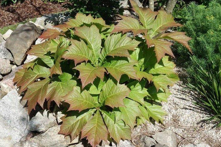 Température et éclairage