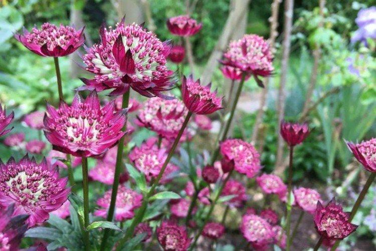 informations générales