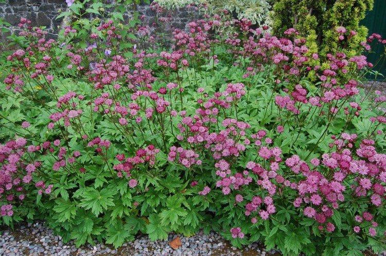 Engrais et alimentation