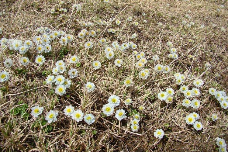 Maillot de bain - photo