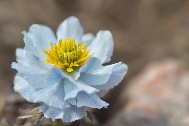 Maillot de bain - photo