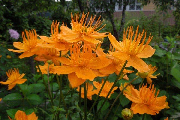 maillot de bain chinois