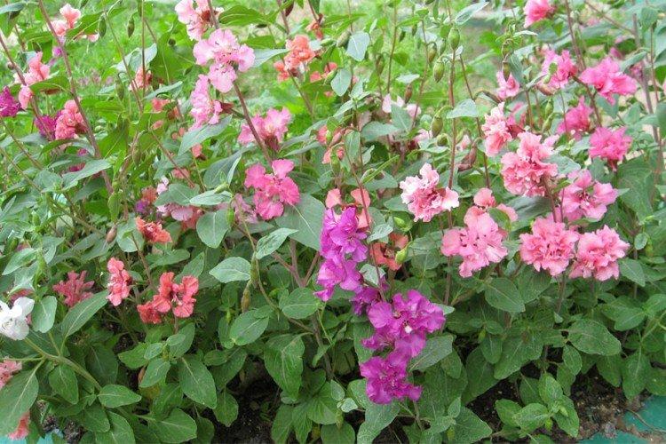 Température et éclairage