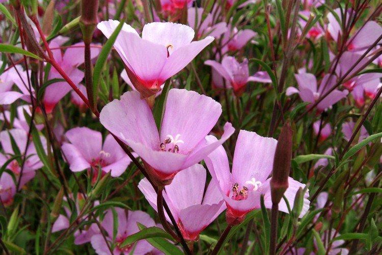 Engrais et alimentation