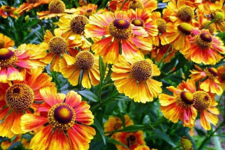 Température et éclairage