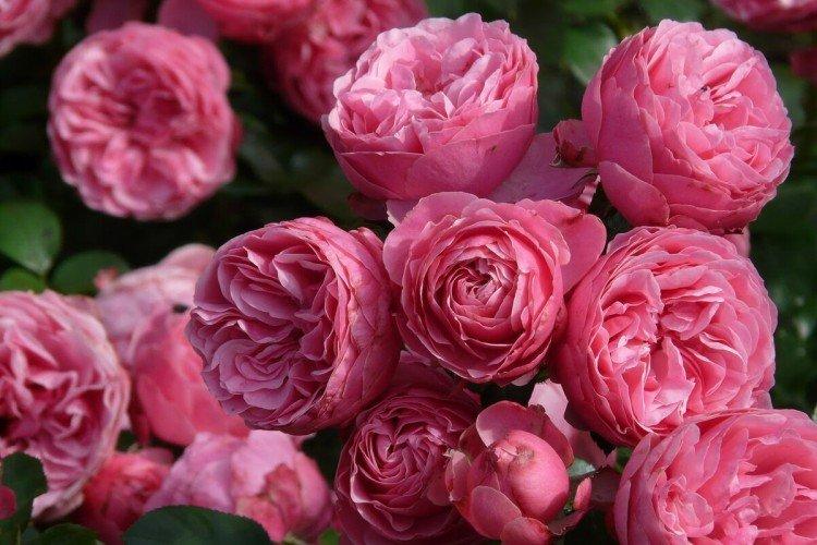 informations générales