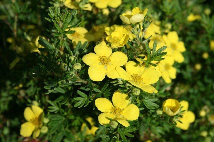 informations générales