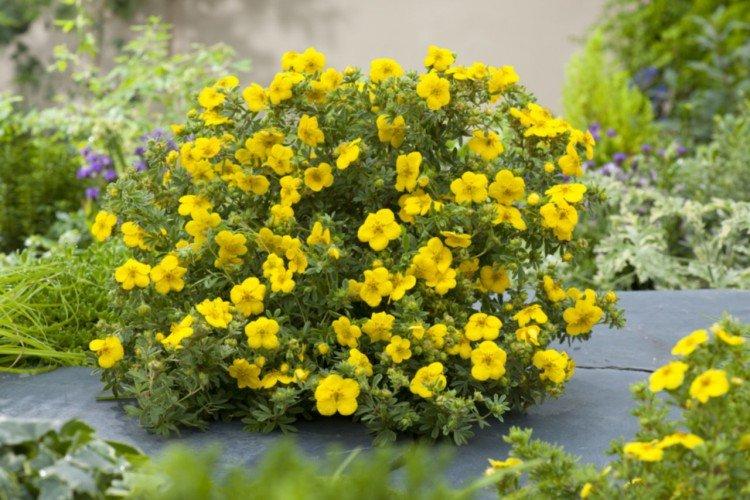 Engrais et alimentation