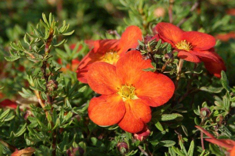 Température et éclairage