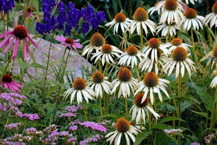 Engrais et alimentation