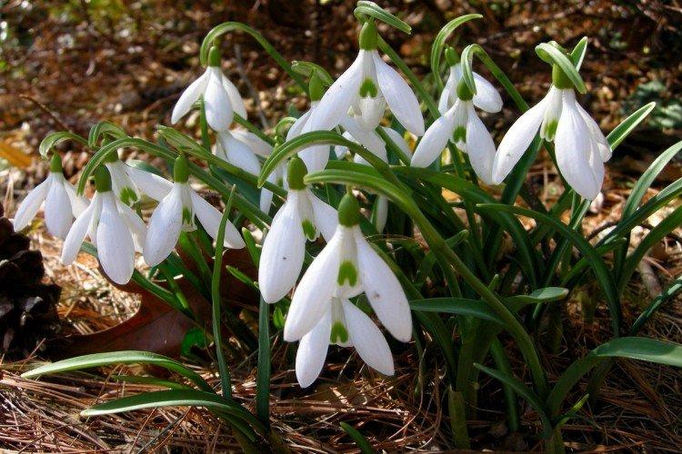 Température et éclairage