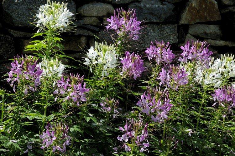 Température et éclairage