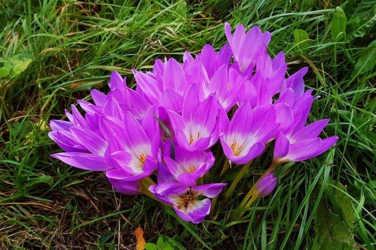 informations générales