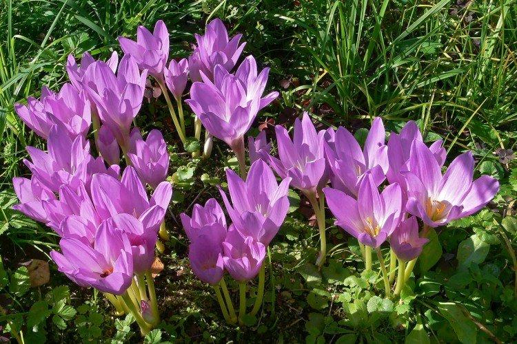 Température et éclairage