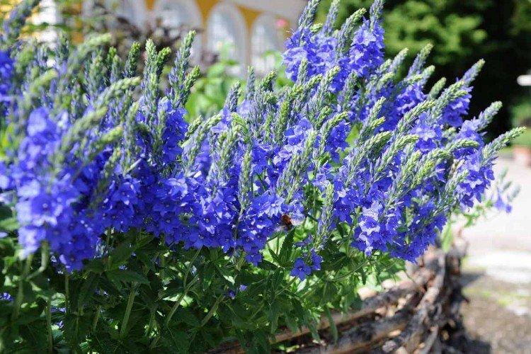 Engrais et alimentation