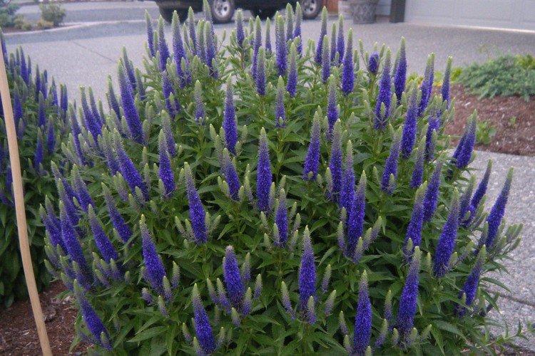 Température et éclairage