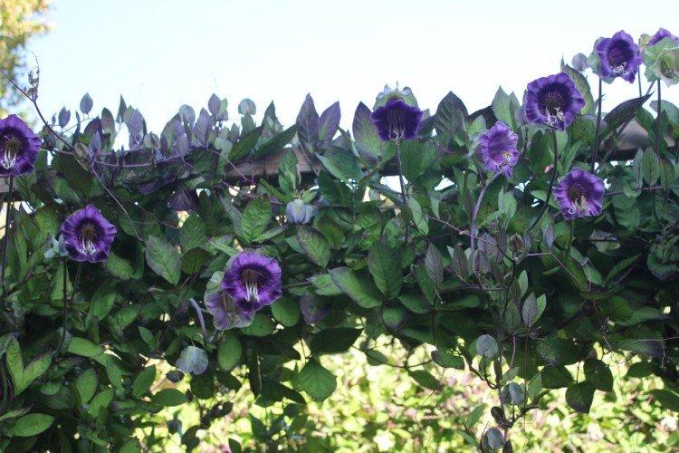 Engrais et alimentation