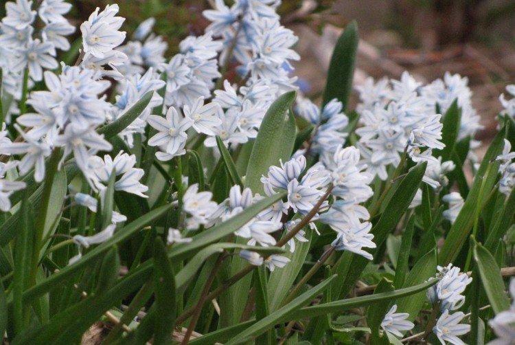 Engrais et alimentation