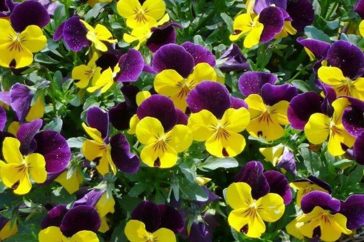 informations générales