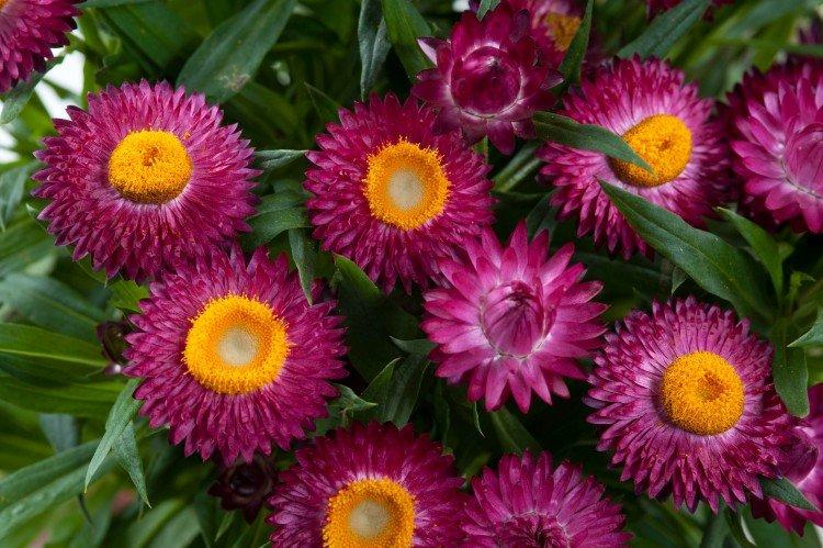 informations générales