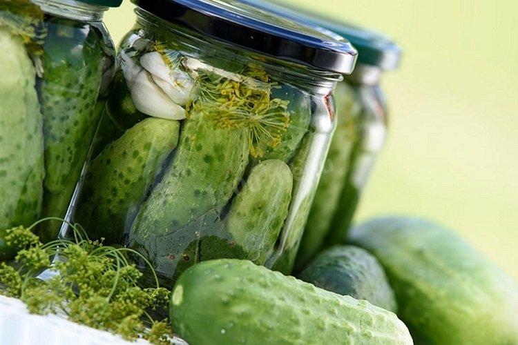 Concombres légèrement salés sans vinaigre