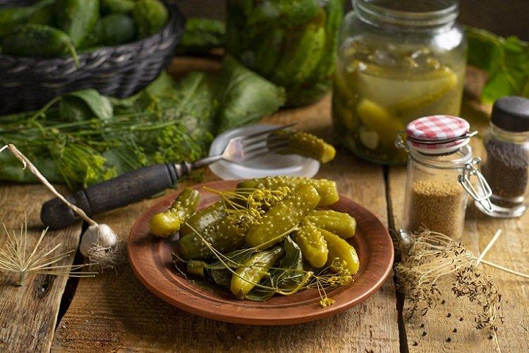 Concombres au raifort et feuilles de chêne