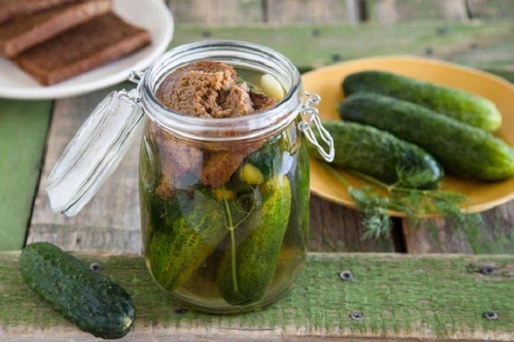 Concombres croustillants avec du pain pour l'hiver