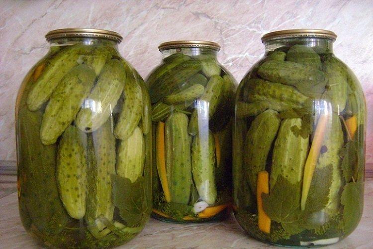 Concombres croustillants sans vinaigre