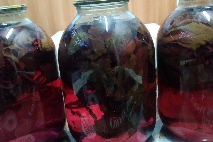 Compote de basilic pour l'hiver