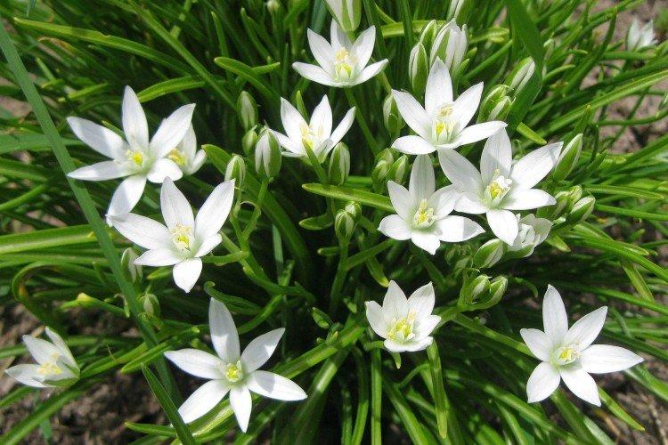 Température et éclairage