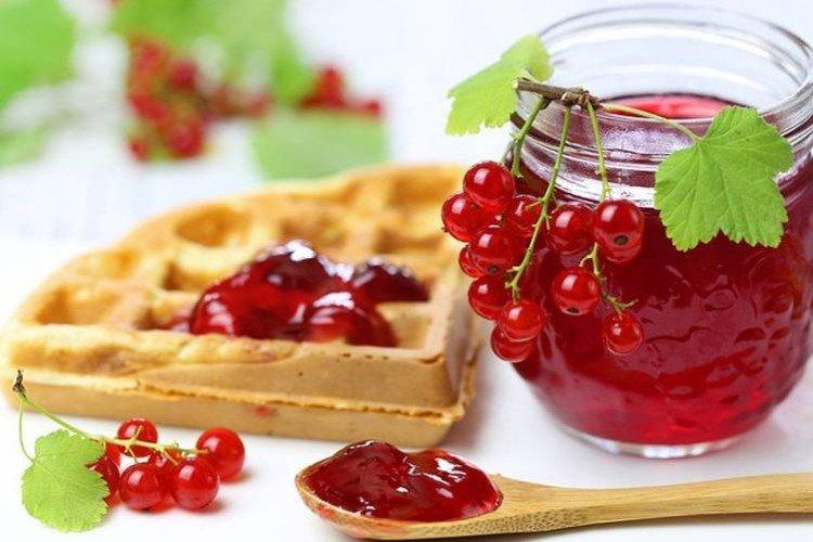 Confiture de gelée de groseille