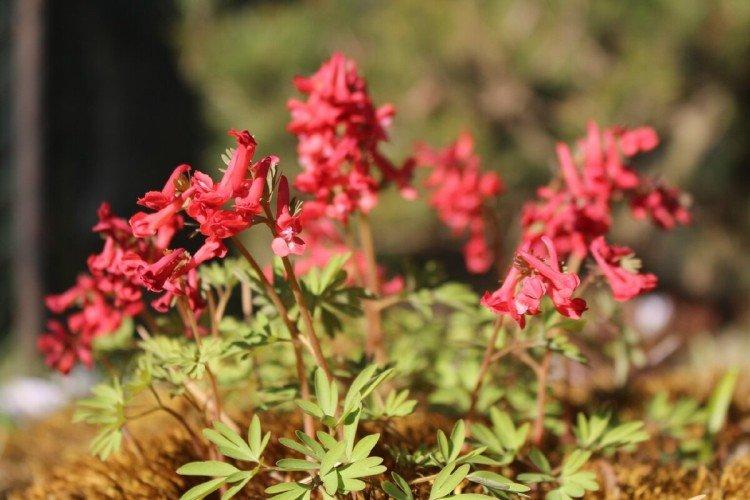 informations générales