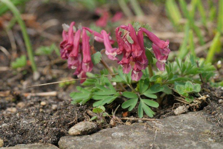 Engrais et alimentation