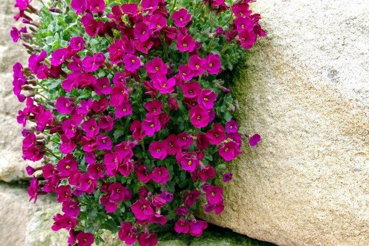 Engrais et alimentation