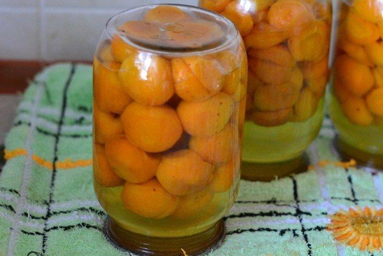 Récolte des abricots pour l'hiver