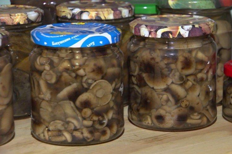 Champignons marinés pour l'hiver