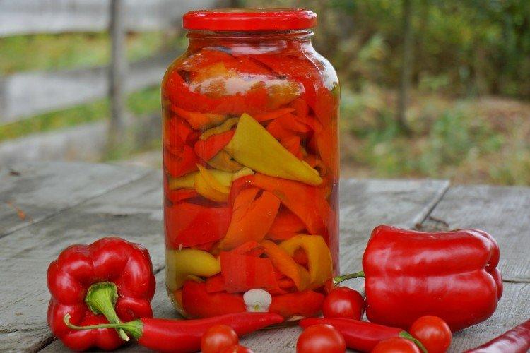 Récolte du poivre pour l'hiver