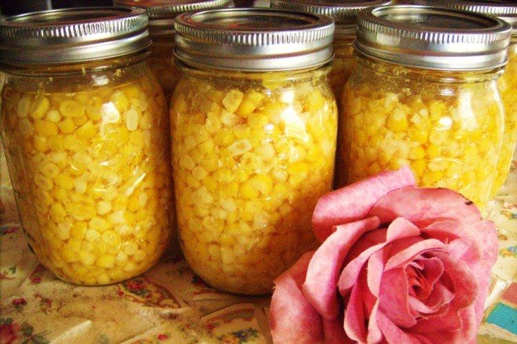 Récolte du maïs pour l'hiver