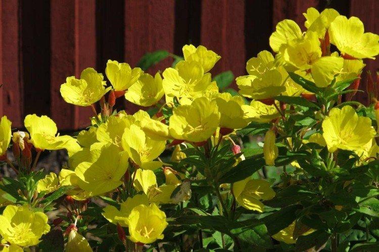 informations générales