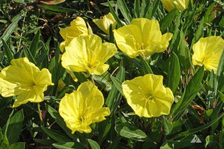 Température et éclairage