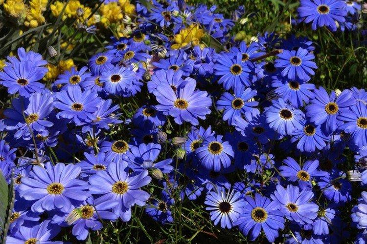 Température et éclairage