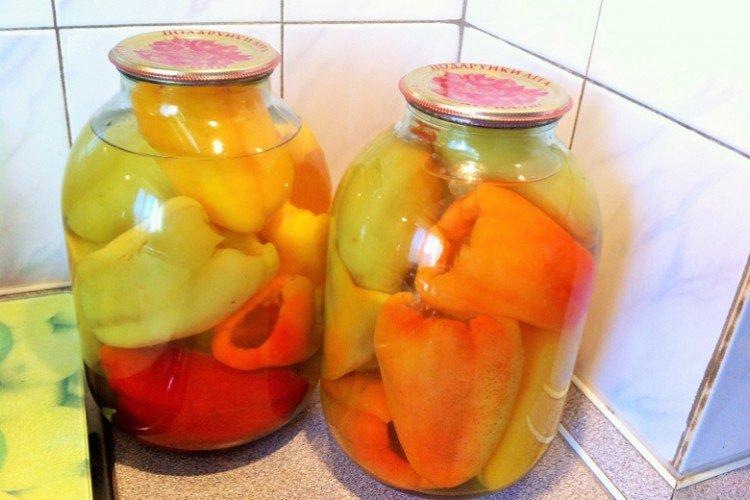 Poivron pour farce d'hiver