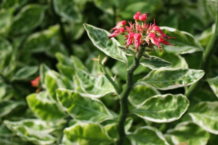 informations générales